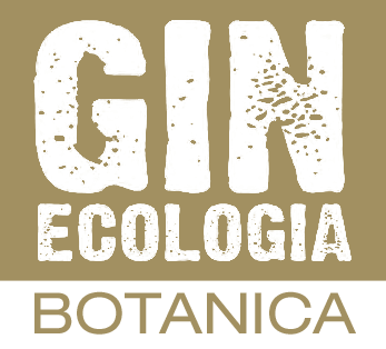 Gin Ecologia Botanica, Oste Mauro Lorenzon